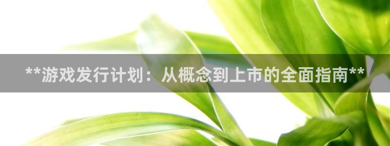蓝狮在线平台怎么样知乎：**游戏发行计划：从概念到上市的全面指南**