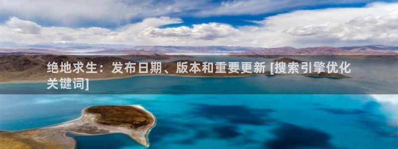 蓝狮子上市了吗：绝地求生：发布日期、版本和重要更新 [搜索引擎优化
关键词]