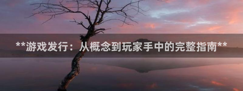 蓝狮在线客服：**游戏发行：从概念到玩家手中的完整指南**