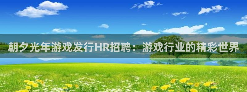 蓝狮电子商务有限公司：朝夕光年游戏发行HR招聘：游戏行业的精彩世界