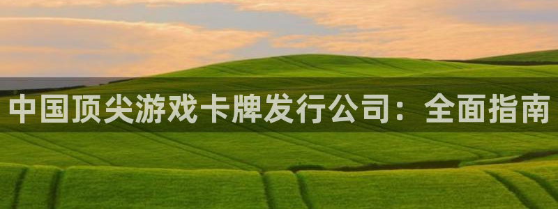 蓝狮子文化创意有限公司：中国顶尖游戏卡牌发行公司：全面指南