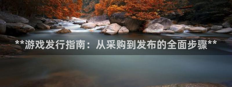 蓝狮在线解绑银行卡怎么操作：**游戏发行指南：从采购到发布的全面步骤**