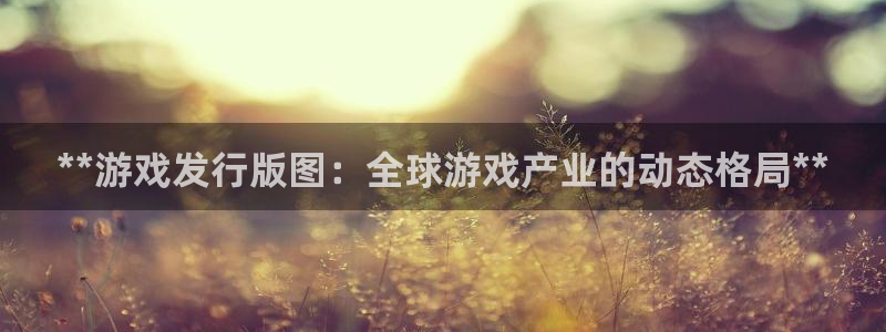 蓝狮电子商务有限公司：**游戏发行版图：全球游戏产业的动态格局**