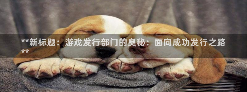 广东蓝狮：**新标题：游戏发行部门的奥秘：面向成功发行之路
**