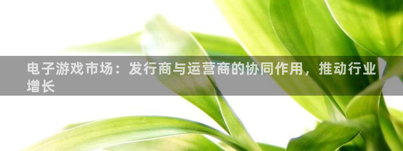 蓝狮在线客服招聘：电子游戏市场：发行商与运营商的协同作用，推动行业
增长