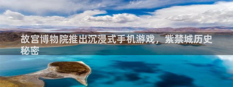 广东蓝狮电子商务有限公司