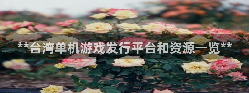 苏州蓝狮网络科技有限公司