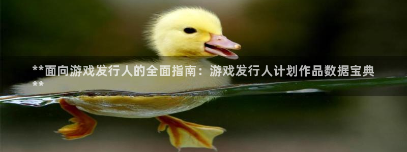 蓝狮在线注册平台：**面向游戏发行人的全面指南：游戏发行人计划作品数据宝典
**