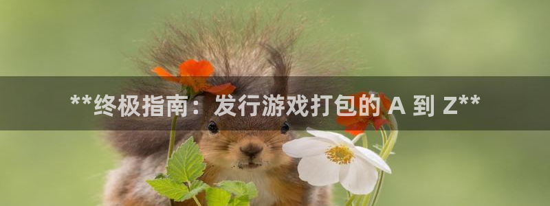蓝狮子公司怎么样：**终极指南：发行游戏打包的 A 到 Z**
