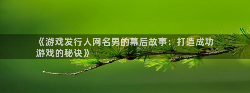 蓝狮实业投资(东莞)有限公司：《游戏发行人网名男的幕后故事：打造成功
游戏的秘诀》