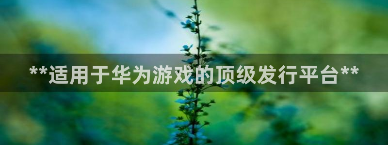 蓝狮在线代理开号平台：**适用于华为游戏的顶级发行平台**