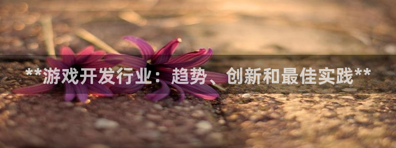 蓝狮子文化