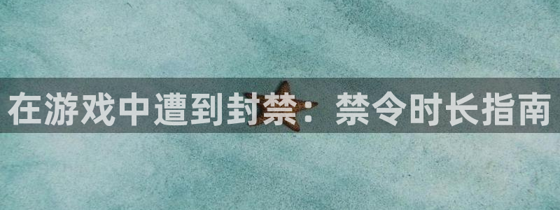 蓝狮多少钱：在游戏中遭到封禁：禁令时长指南