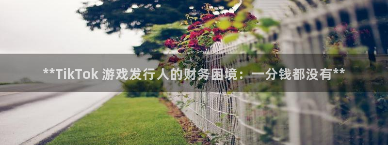 蓝狮在线登录注册账号安全吗安全吗：**TikTok 游戏发行人的财务困境：一分钱都没有**