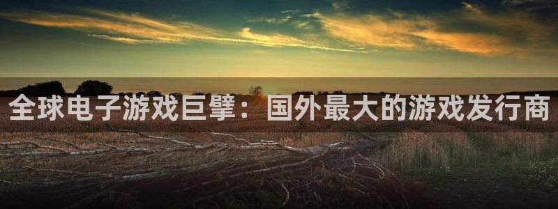 蓝狮在线平台怎么样知乎：全球电子游戏巨擘：国外最大的游戏发行商