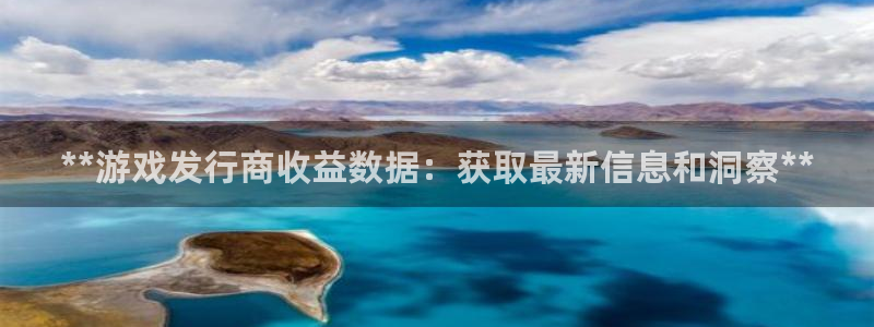蓝狮子经理人杂志：**游戏发行商收益数据：获取最新信息和洞察**