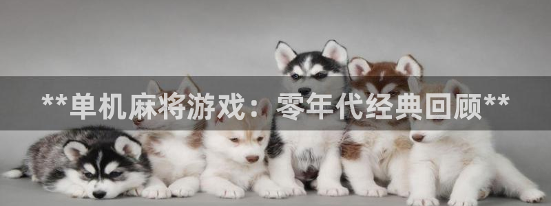 蓝狮科技有限公司