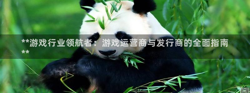 南京蓝狮子电子商务有限公司