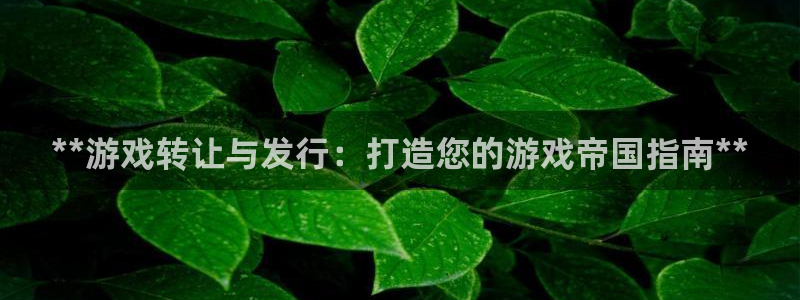 蓝狮集团品牌策划机构