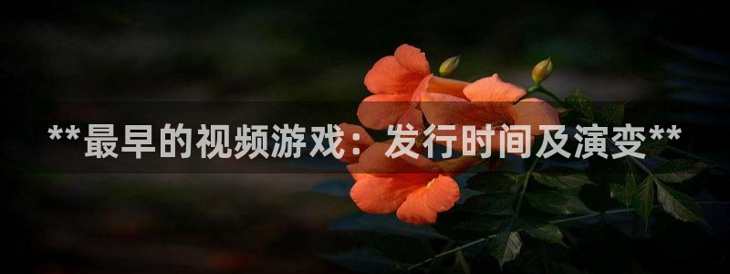蓝狮在线注册地址在哪里啊：**最早的视频游戏：发行时间及演变**
