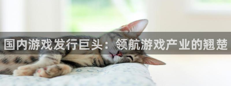 作者蓝狮子：国内游戏发行巨头：领航游戏产业的翘楚