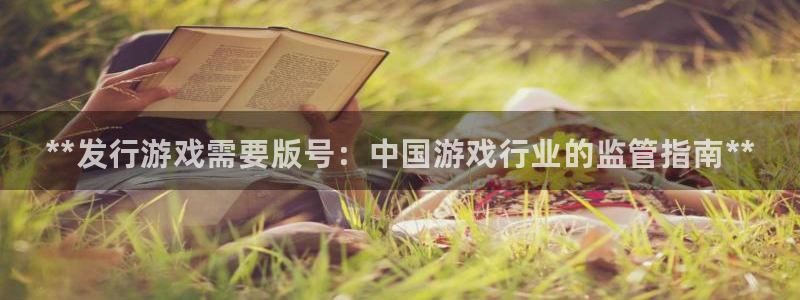 蓝狮子上市：**发行游戏需要版号：中国游戏行业的监管指南**