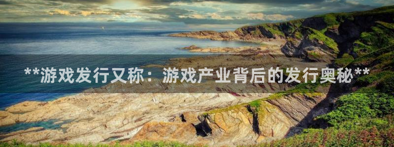 蓝狮在线平台代理条件是什么：**游戏发行又称：游戏产业背后的发行奥秘**
