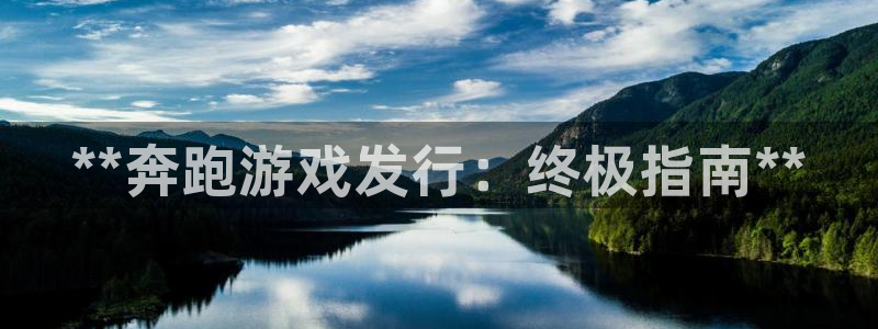 蓝狮在线注册登录不了：**奔跑游戏发行：终极指南**