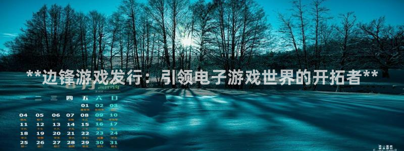 蓝狮在线注册地址在哪里查询：**边锋游戏发行：引领电子游戏世界的开拓者**