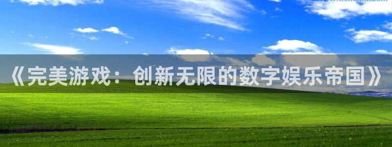 蓝狮在线：《完美游戏：创新无限的数字娱乐帝国》