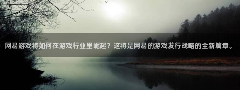 蓝狮电子科技怎么样：网易游戏将如何在游戏行业里崛起？这将是网易的游戏发行战略的全新篇章。
