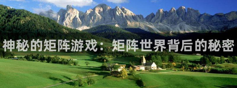 蓝狮子猫图片：神秘的矩阵游戏：矩阵世界背后的秘密