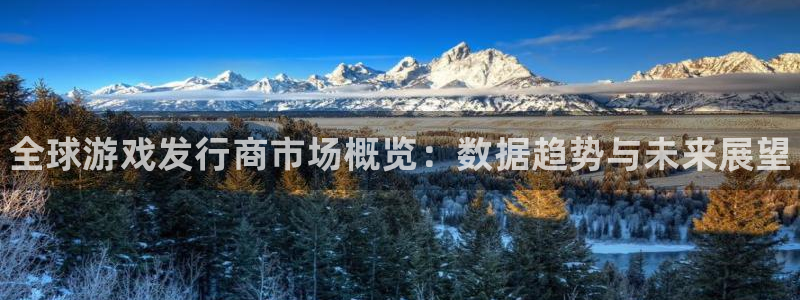 陕西蓝狮子文化公司有什么游戏